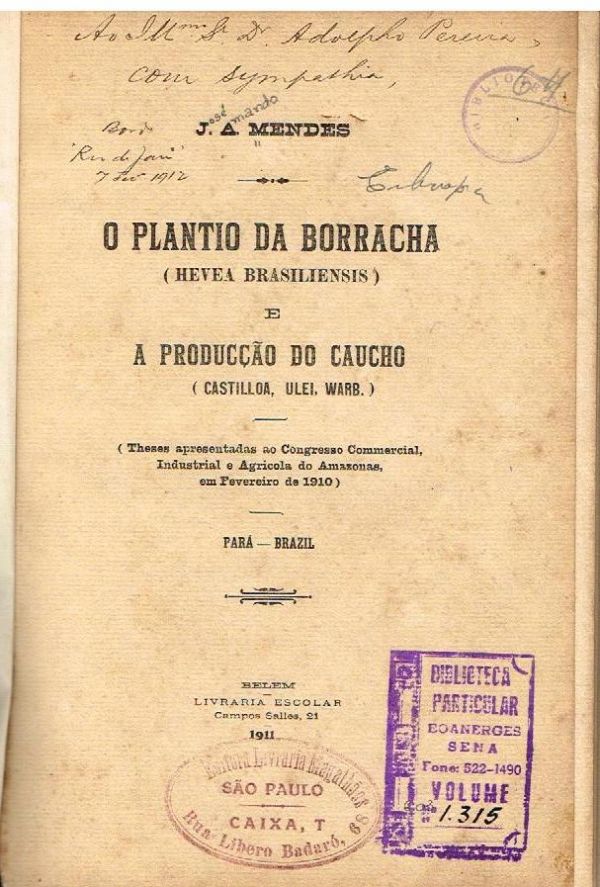 Plnatio da Borracha, O